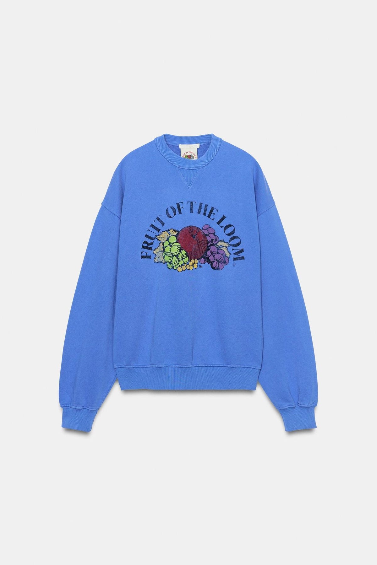 ZA Blue Fruit Graphic Oversized Sweatshirt